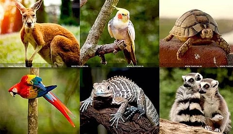 Farm Sector: A fast and consistent approach is the need of the hour