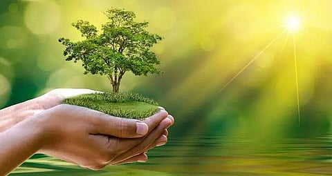 World Environment Day celebrated  at TC Girls’ Higher Secondary School