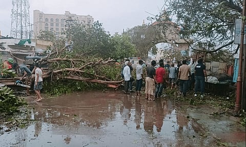 Cyclone Biparjoy: At Least 2 Dead, 23 Injured, Red Alert for Jalore and Barmer