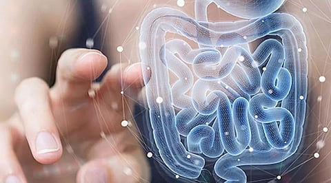 The importance of digestive health for overall well-being