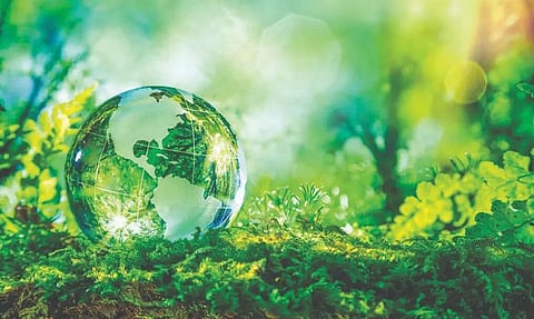 biodiversity conservation