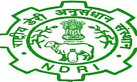 NDRI Recruitment 2023 – Young Professional -II, Research Associate Vacancy, Job Opening