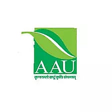 AAU Recruitment 2023 – Research Associate Vacancy, Job Opening
