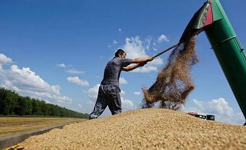 India indirectly criticizes Russia for ending grain deal