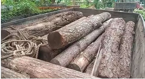 Assam: Miscreants Manage to Get Away With Vehicle Used by Forest Department