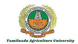 TNAU Recruitment 2023 – Senior Research Fellow vacancy, Job opening
