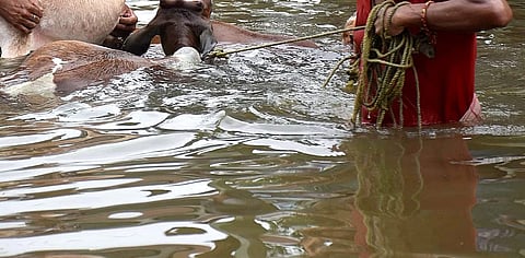 Over 45,000 displaced in Myanmar