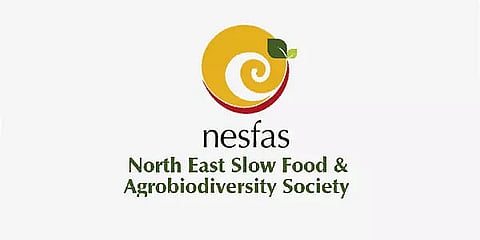NESFAS Recruitment 2023- Adviser Vacancy, Job opening
