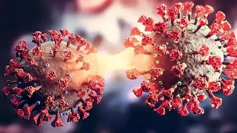 Fresh Covid wave in US worse than what official data suggests: Report