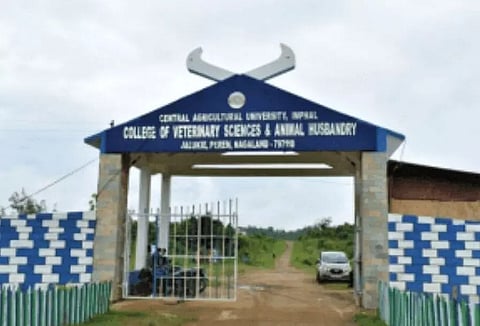 College of Veterinary Sciences Nagaland Recruitment 2023 - Assistant Professor Vacancy, Latest Jobs