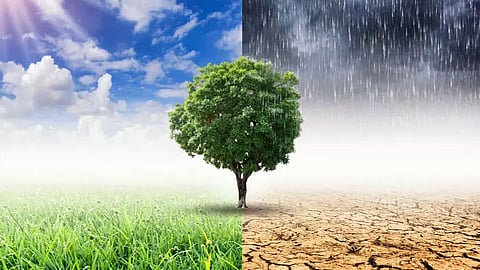 Climate change: Assam Government taking steps to check impact