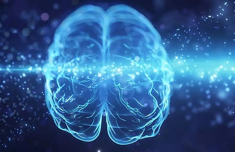 20th national conference of Neurodevelopment Paediatrics concludes in Guwahati