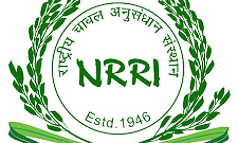 NRRI Recruitment 2023 – Field Operator Vacancy, Job Opening