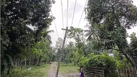 Assam: Use of Bamboo Poles and Beetle Nut Trees as Electric Poles Poses Major Risks