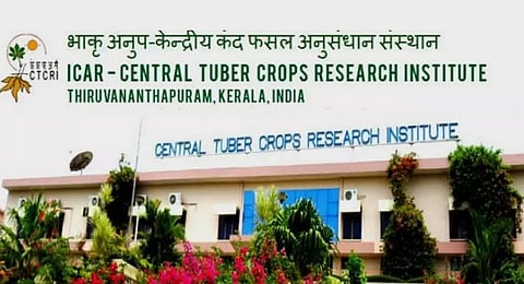 CTCRI Recruitment 2023-Young Professional-II Vacancy,Job Opening