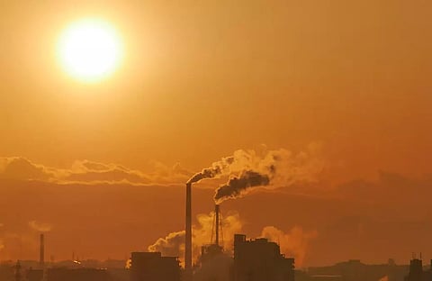 Research discovers link between air pollution, Parkinson's disease