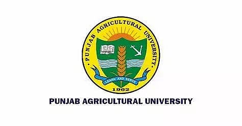 Punjab Agricultural University&nbsp;