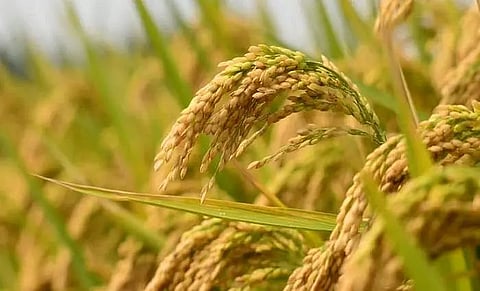 Farmers’ tour flagged off in Longding district, Arunachal Pradesh