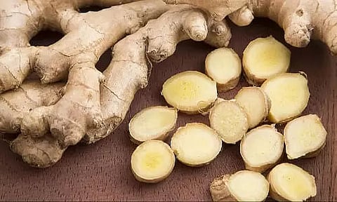 Arunachal Pradesh: Two Indigenous Products Secures the Coveted GI Tags