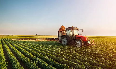 Insulating farmers against climate shocks