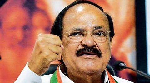 Titans Club win 'B' Division cricket title