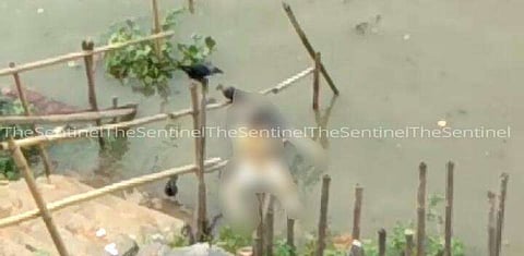 7 dead bodies found floating on Brahmaputra