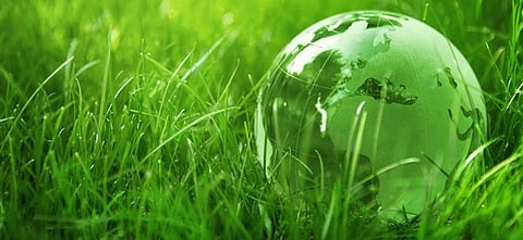 'A country can be saved through green environment'