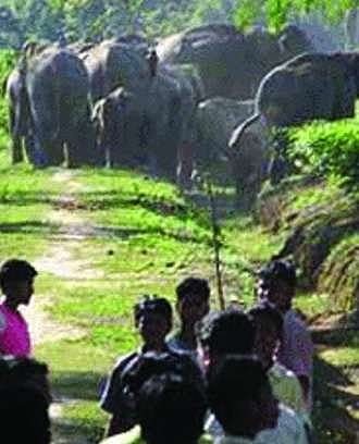 3 State cricketers in Women Zol team