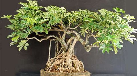 'Modi turned job-seekers  into job-providers'