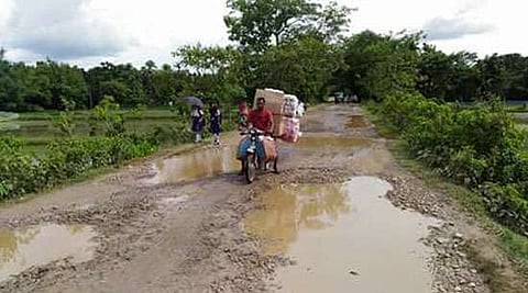 Bacteria that boosts athletic performance identified