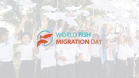 World Fish Migration Day: Effort to conserve fish population