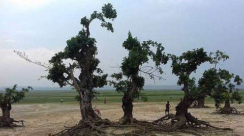 Should Sonbeel continue to be neglected?