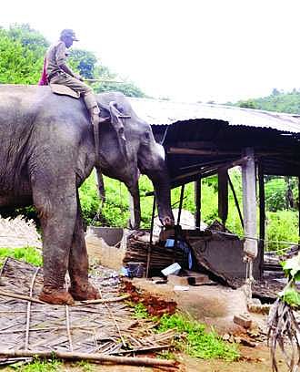 State Haji dies in Mecca, laid to rest
