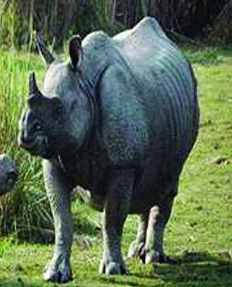 Don Bosco lift team title