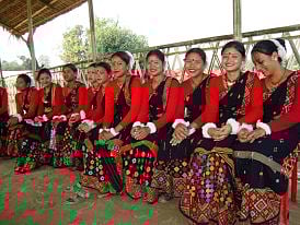 Central committee constituted