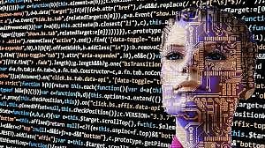 AI to identify, describe wild animals