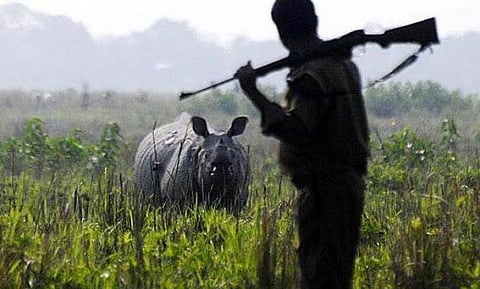 Poacher killed