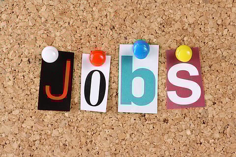 India needs payroll data system to map job creation: Assocham