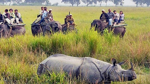 Here is the Tourist’s Delight