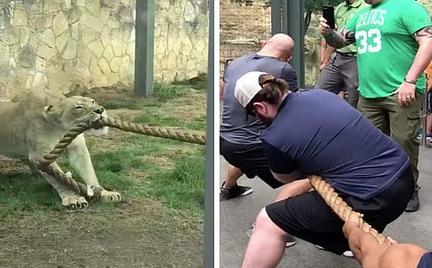 The Real War All Have Been Waiting For!