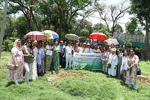 FICCI FLO NE distributes saplings