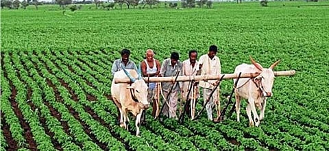 Agriculture Runs the World