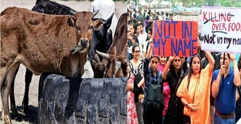 Cow Vigilantism is Unacceptable and Not to be Linked with Religion: SC