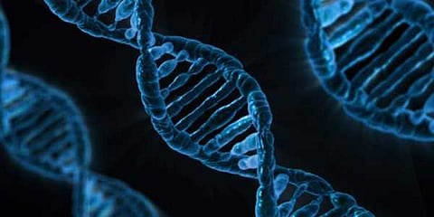 Bill to expand use of DNA-based forensic technology