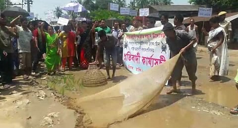 Locals transplant  paddy, fish on road