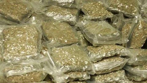 34 Kilos of Marijuana seized at Guwahati Railway Station, Peddler Arrested