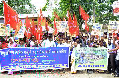 Tea workers stage protest, reiterate demand to hike daily wages