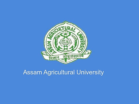 Assam Agricultural University Jobs 2018