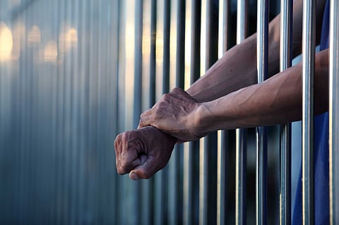 Russian Spy Arrested in United States identified as political Prisoner