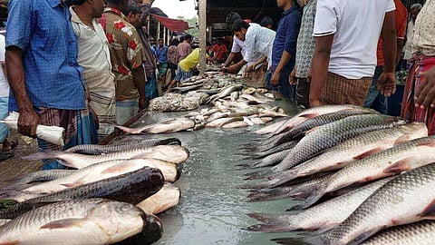 Goa to Lift Fish Import Ban